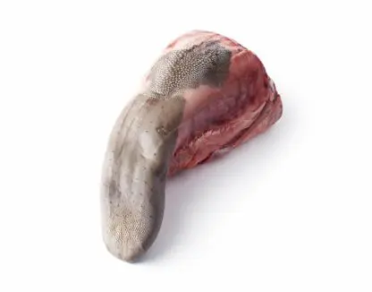 Rundertong