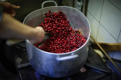 Cranberry Compote - Afbeelding 3