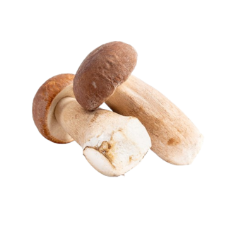 Cepes (heel)