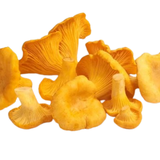 Girolles