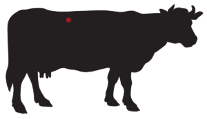 locatie: I-Bone Dry-Aged